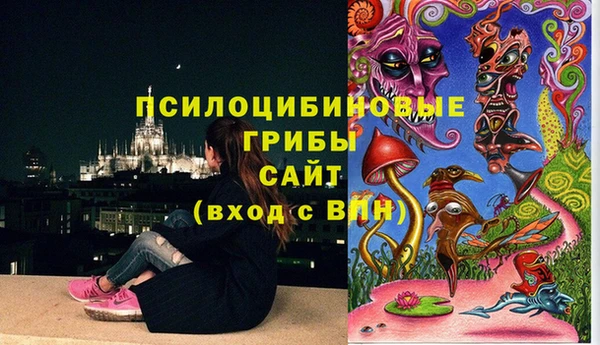 твердый Осинники