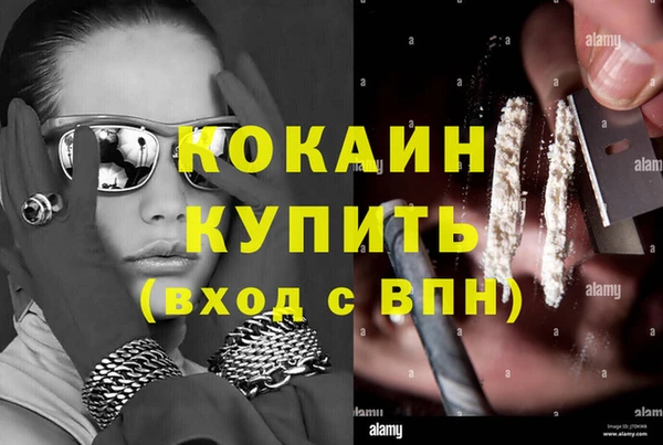 твердый Осинники