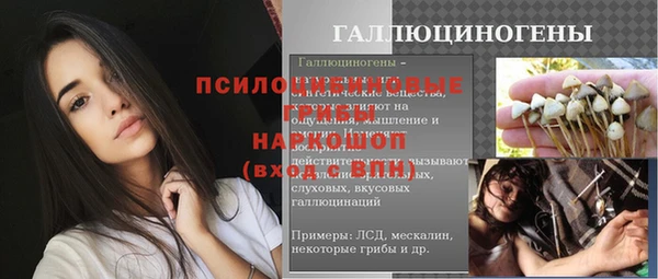 mix Няндома