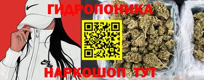 стаф Аргун