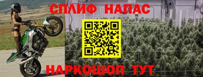 стаф Аргун