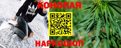 стаф Аргун