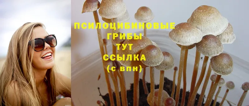 Галлюциногенные грибы Magic Shrooms  Асбест 