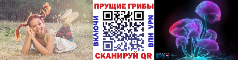 Галлюциногенные грибы Psilocybe  Асбест 