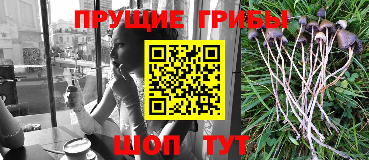 наркота  Галлюциногенные грибы мухоморы  Асбест  Псилоцибиновые грибы Magic Shrooms 